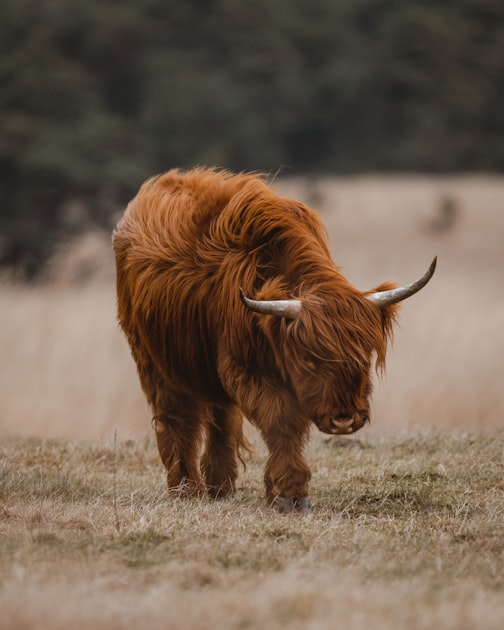 Explore Our Farm Tours